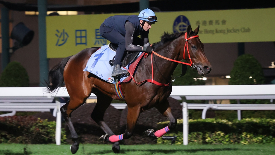 浪漫勇士出戰香港盃2000米一級賽 麥道朗：信心十足