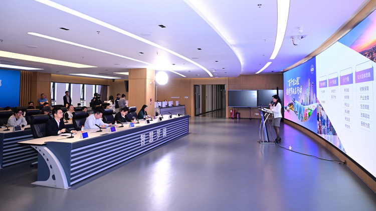 空間產業「雙輪驅動」 深圳羅湖「百千萬工程」引領高質量發展先鋒實踐