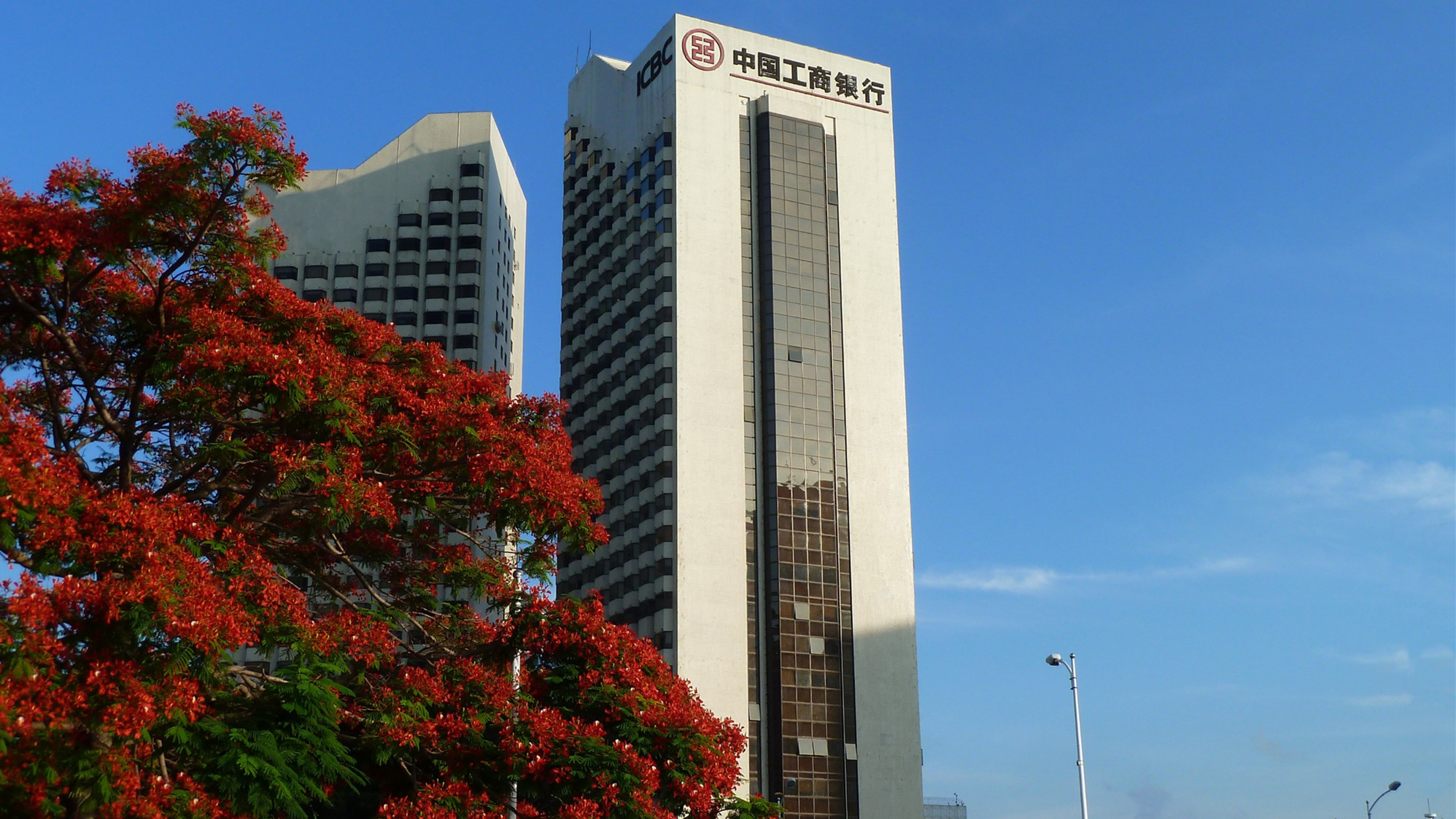 深圳工行：深植金融文化根脈 勇擔金融強國使命