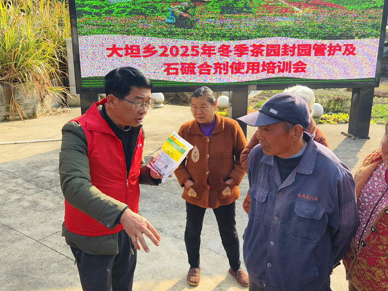 皖祁門縣：現場實操護航茶葉生產