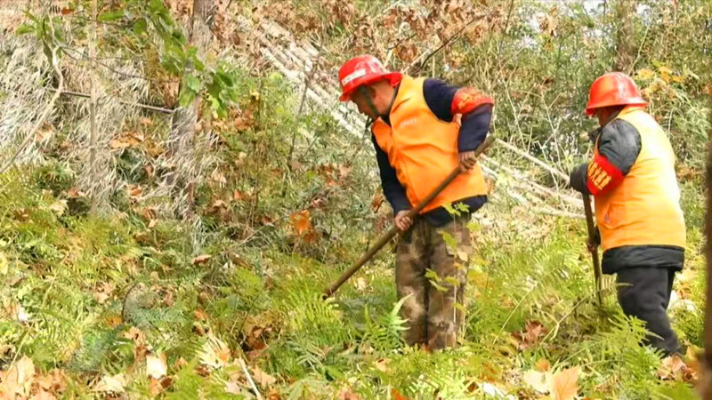 皖黟縣：織密網絡健全體系 築牢全域森林防火牆