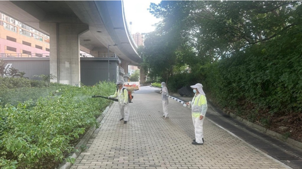 屯門40歲男子感染基孔肯雅熱 潛伏期曾到青衣自然徑