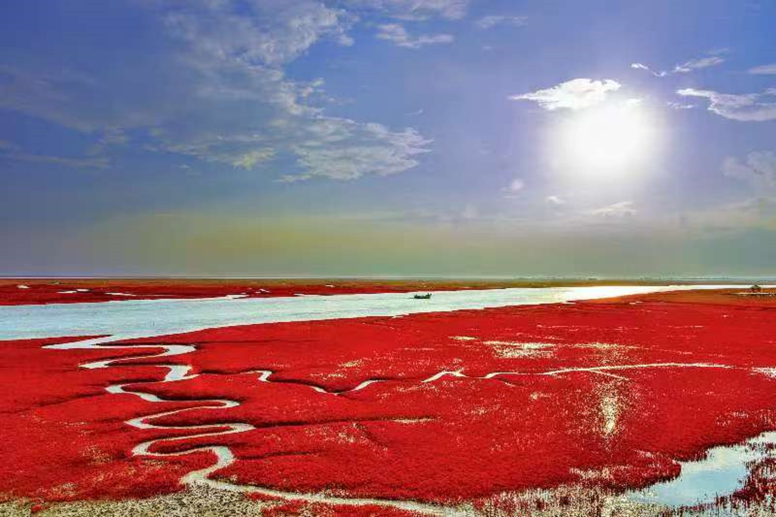 盤錦為何能冠「濕地之都」之名