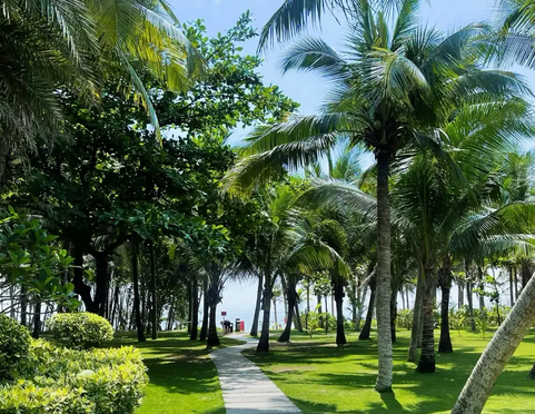 全島封關在即 海南旅遊市場熱度高漲