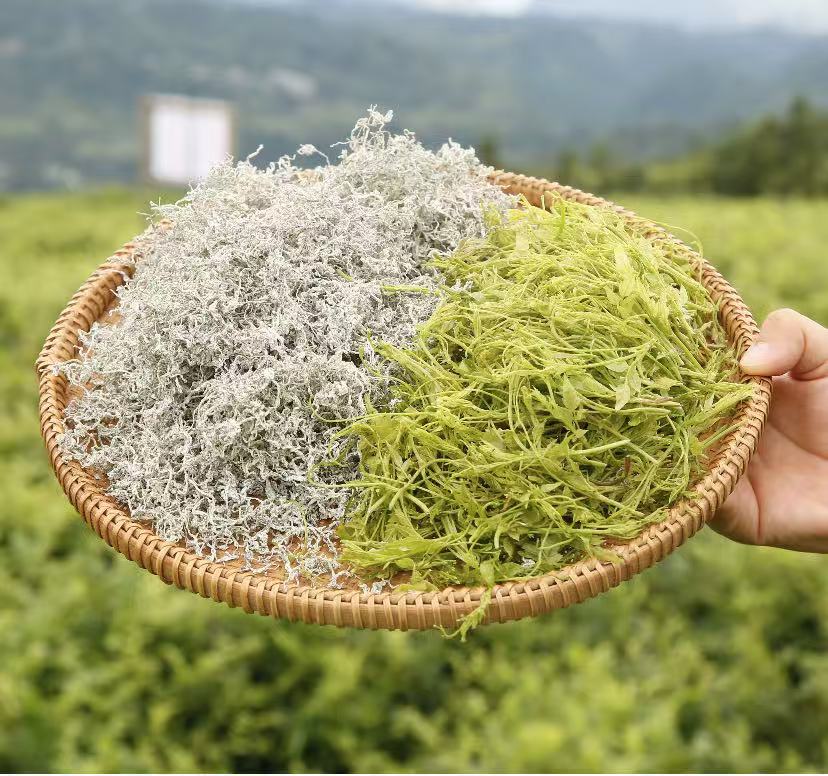 湖北來鳳翔鳳鎮：一片「藤葉」書寫鄉村振興新答卷