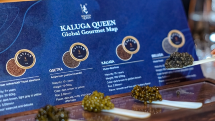 Kaluga Queen Caviar在港確立出海模式加速深耕東南亞