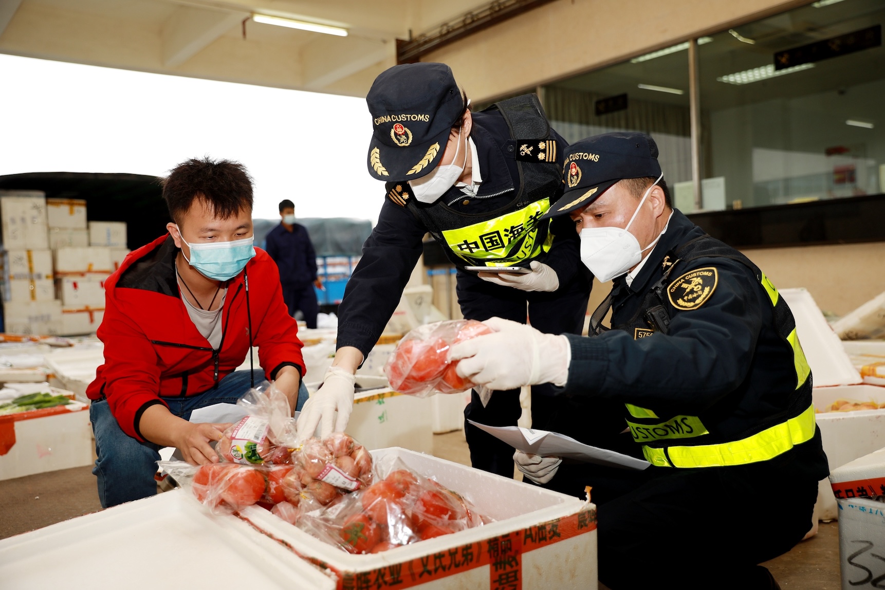 今年前11月供應258萬噸  廣東省供港澳農產品數量全國第一