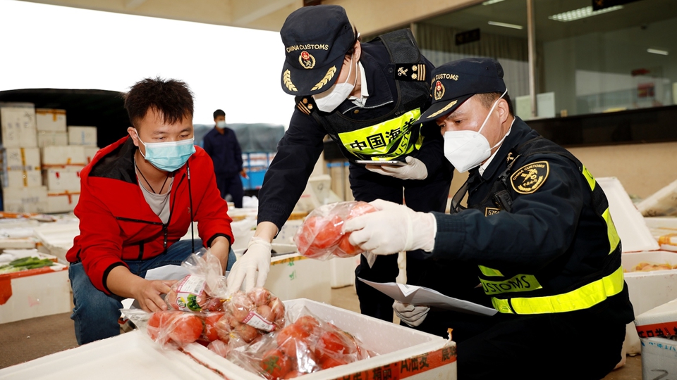 今年前11月供應258萬噸  廣東省供港澳農產品數量全國第一