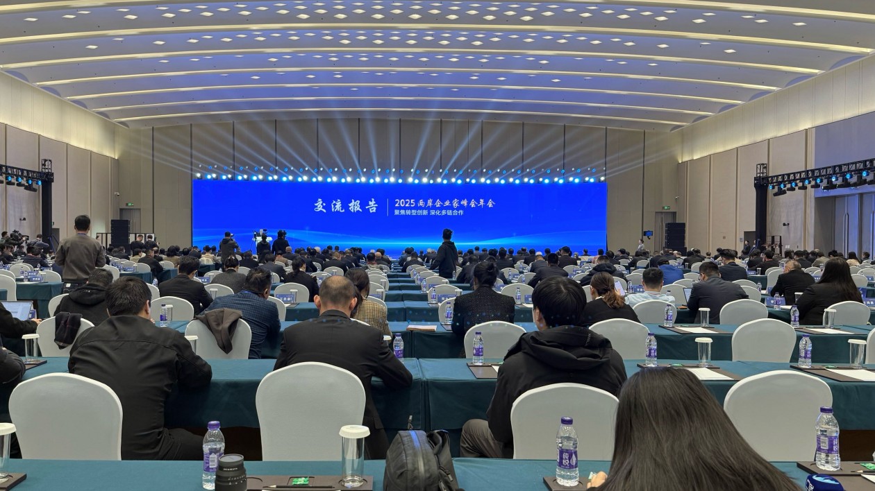 錨定「十五五」機遇 兩岸企業家南京攜手繪就融合新藍圖