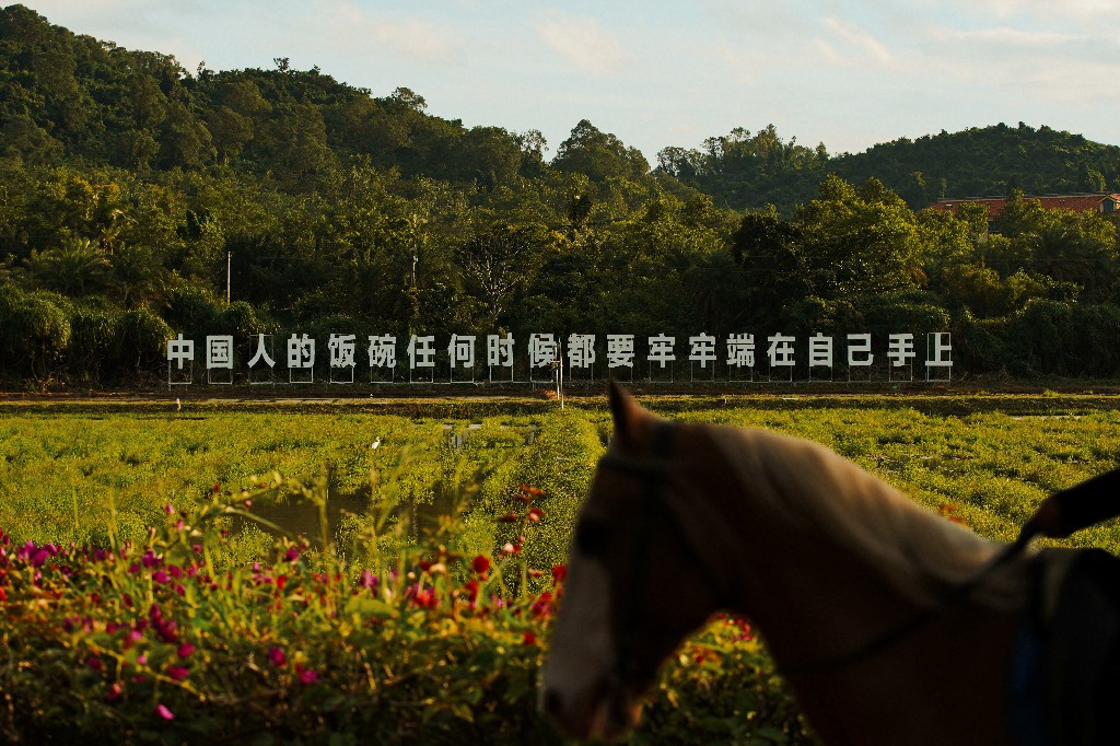 海南自貿港首個策展型馬術綜合體落地三亞水稻國家公園