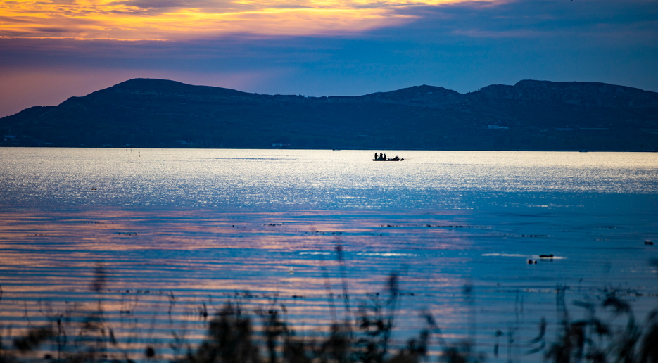 黃河戰略 泰安先行：378個重點項目托舉起「齊魯綠心」
