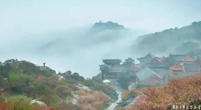 【有圖】四季泰山 大美中國