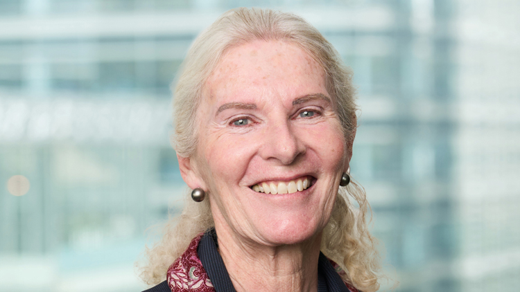 滙控：高級獨立董事高安賢明年退任