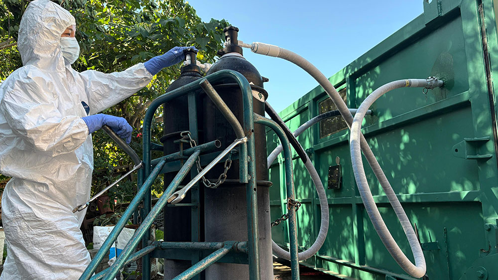 流浮山豬場檢出非洲豬瘟 漁護署銷毀978頭豬隻