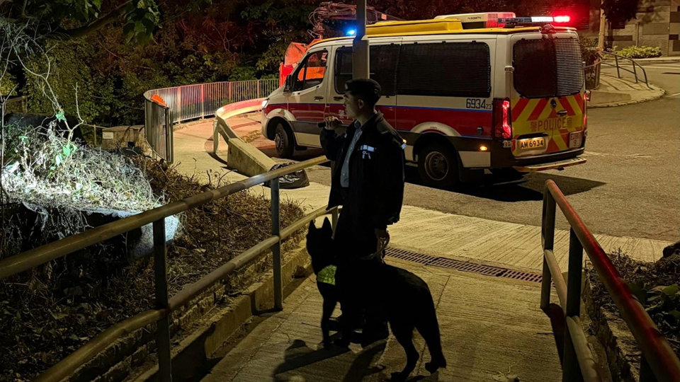 警方昨日起一連4日在港島高調巡邏 打擊爆竊