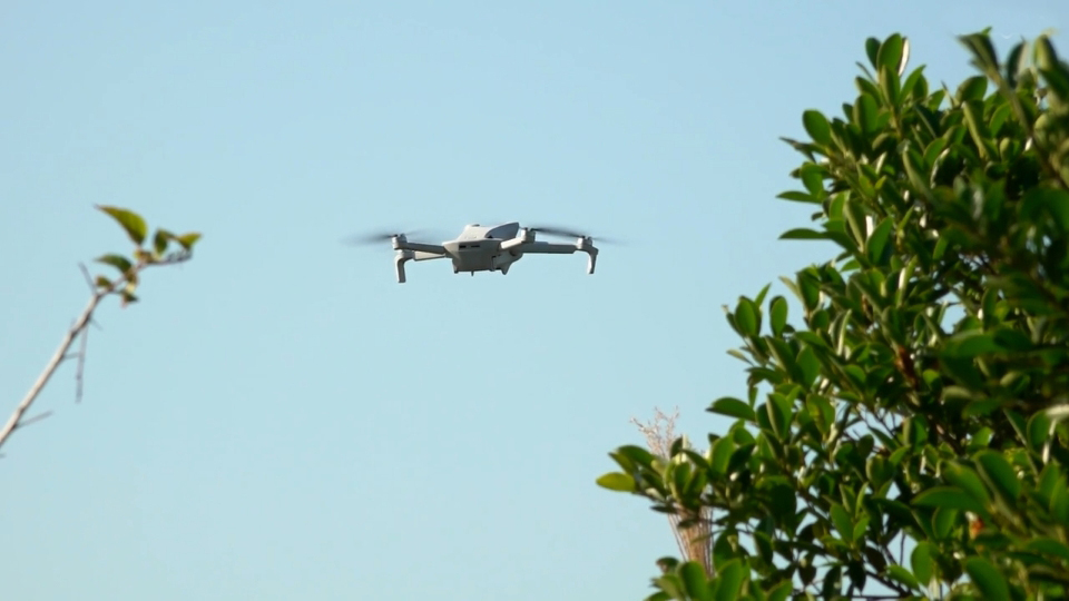 有片 | 食環署善用科技滅蚊 防範基孔肯雅熱