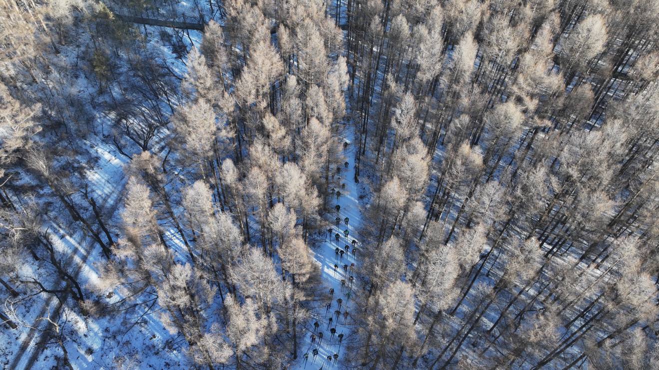 燃動冰雪!2026長春淨月潭瓦薩滑雪節1月4日啟幕 多國高手逐雪而來