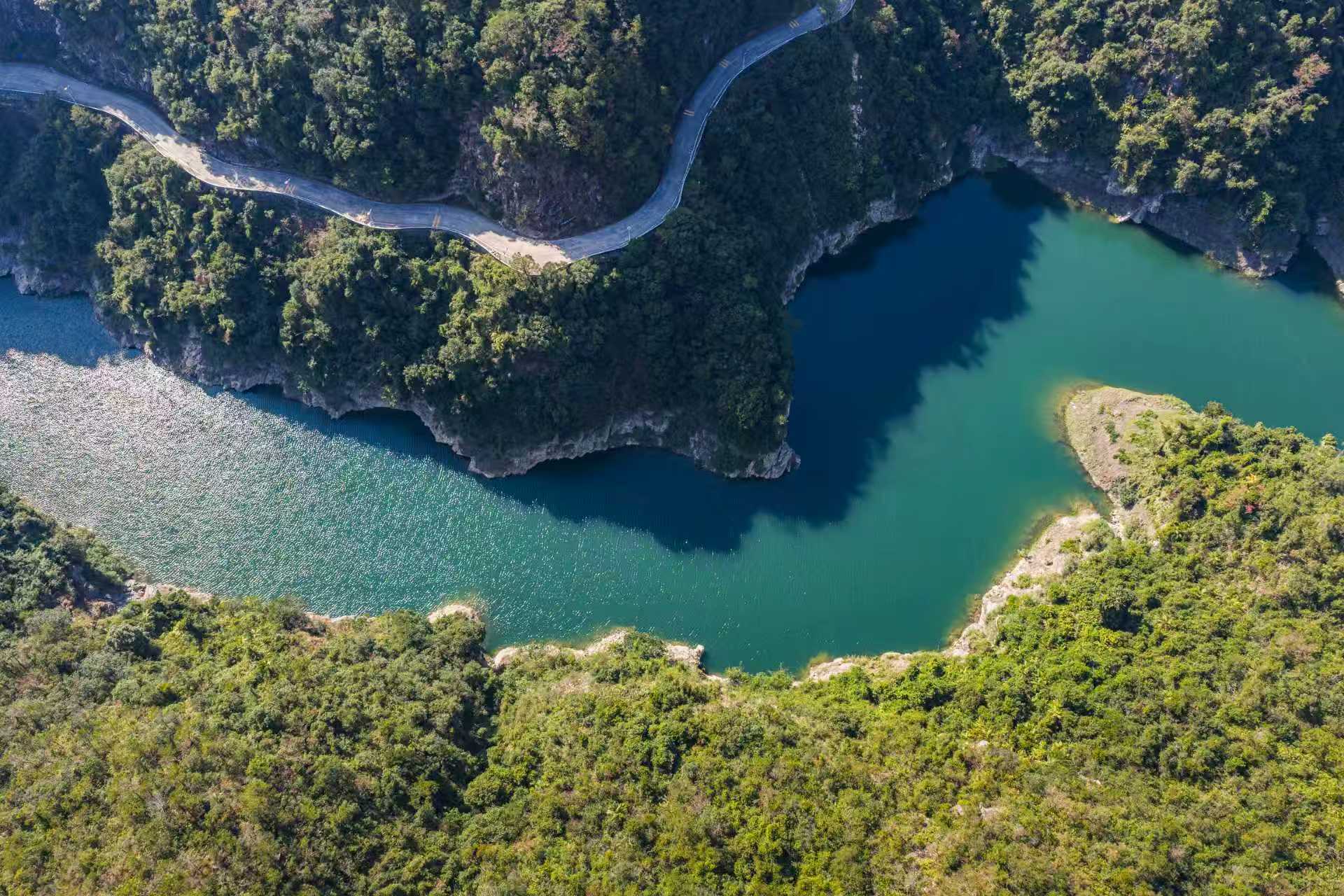 小筍尖撐起大產業  揭西苦筍省級現代農業產業園書寫廣東特色農業現代化答卷