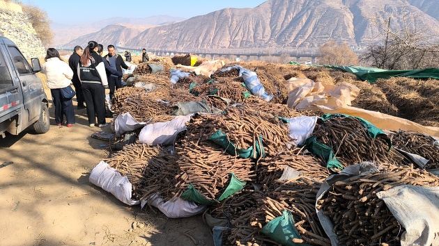 甘肅岷縣同青合作社：產業延伸蹚出助殘就業新路徑