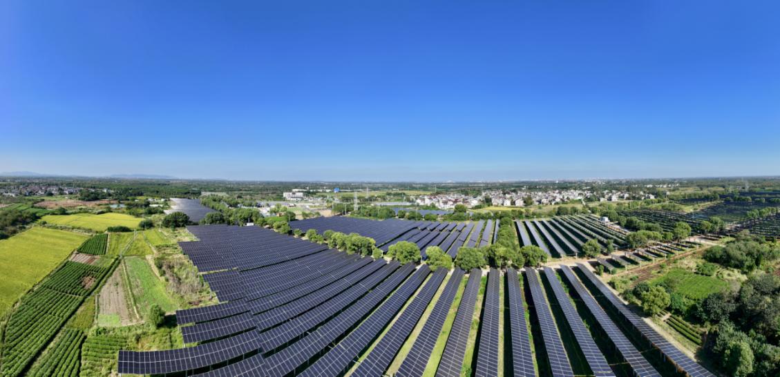 江蘇丹陽：千畝光伏下的「金色」增收與「綠色」賬本