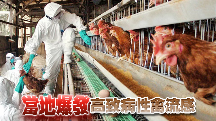 本港暫停進口美國和日本部分地區禽肉及禽類產品
