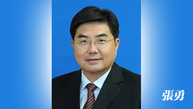 中遠海運副總經理張勇調任香港中聯辦副主任