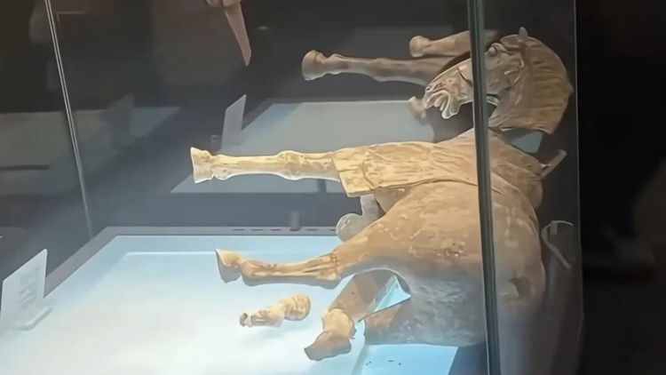 唐代彩繪貼金陶馬碎了？洛陽博物館發布情況說明