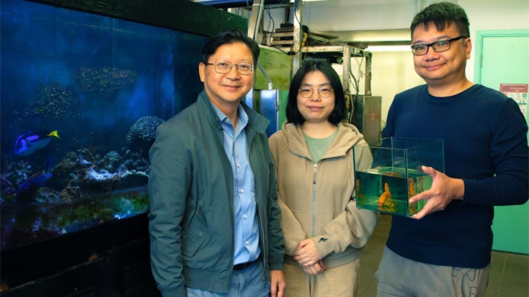 港珠兩地水域發現軟珊瑚新物種