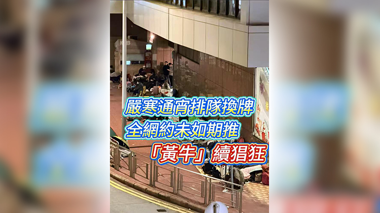 有片 | 嚴寒通宵排隊換牌 全網約未如期推 「黃牛」續猖狂