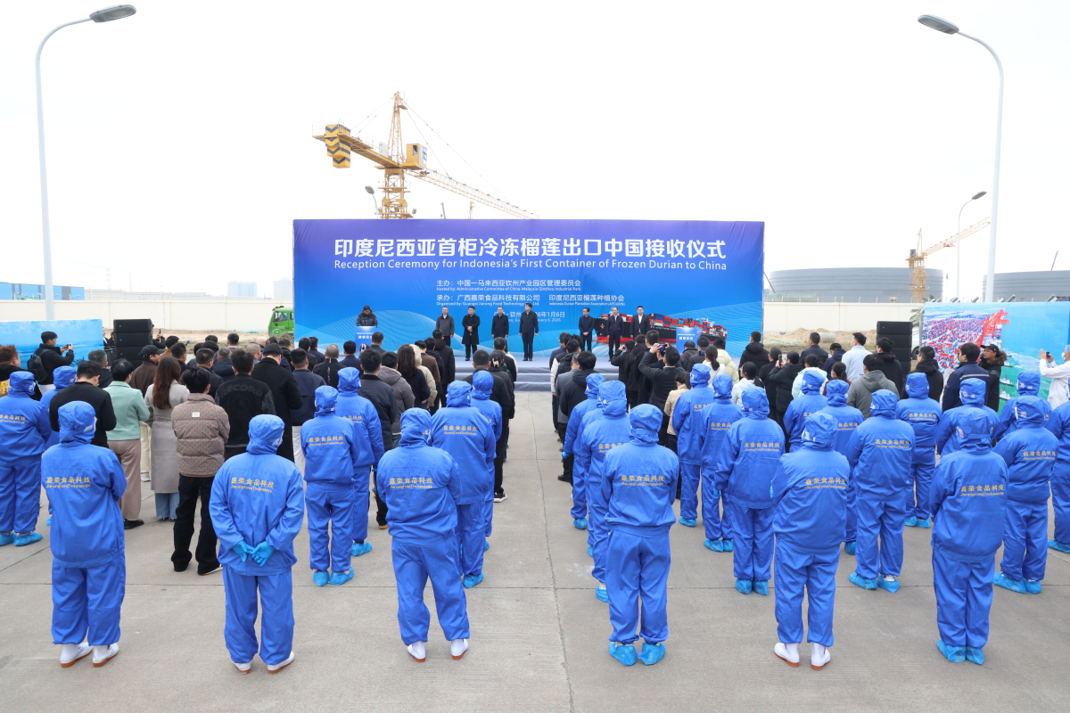 印尼首櫃冷凍榴槤登陸中國 廣西欽州打通海上果品快線