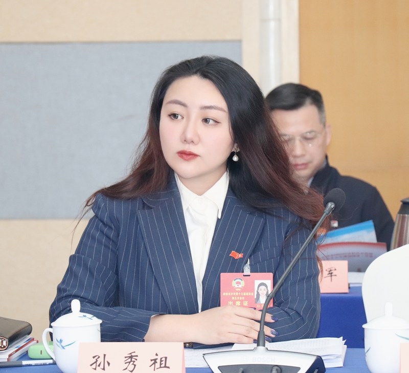 孫秀祖：建議在人工智能領域推動長沙與灣區協作模式