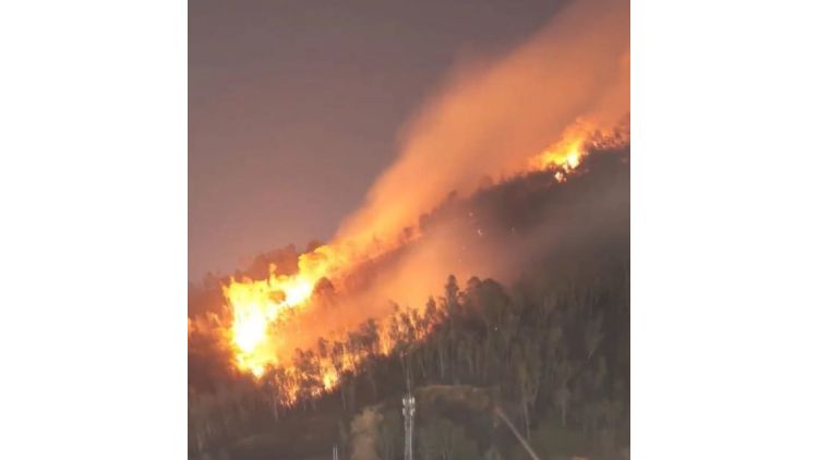 深圳官方通報坪山火情：明火已撲滅，無人員傷亡