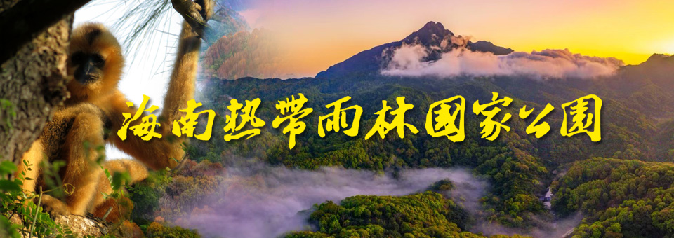 海南熱帶雨林國家公園