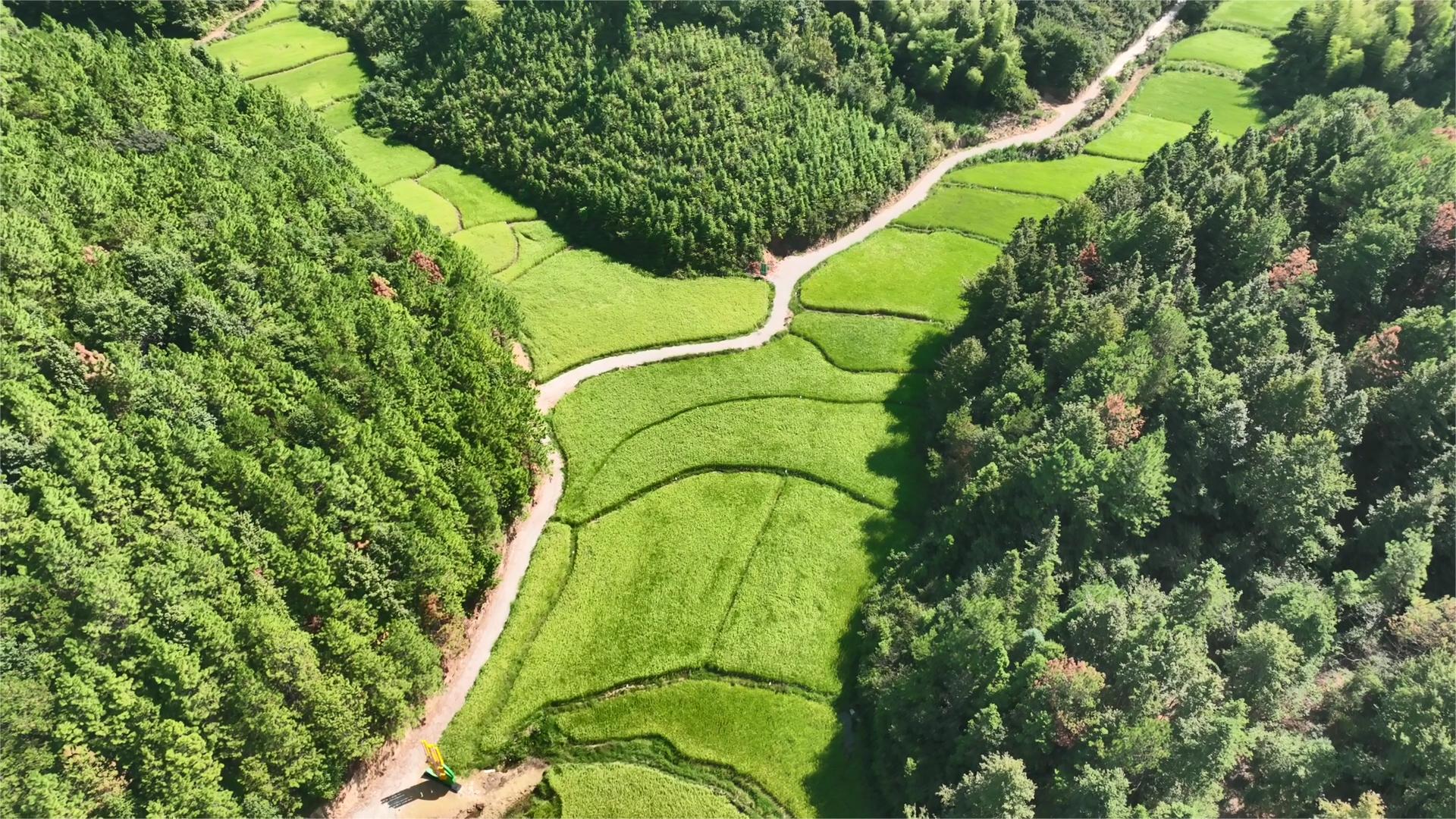 图二 万年贡稻米基地(1)(1).jpg