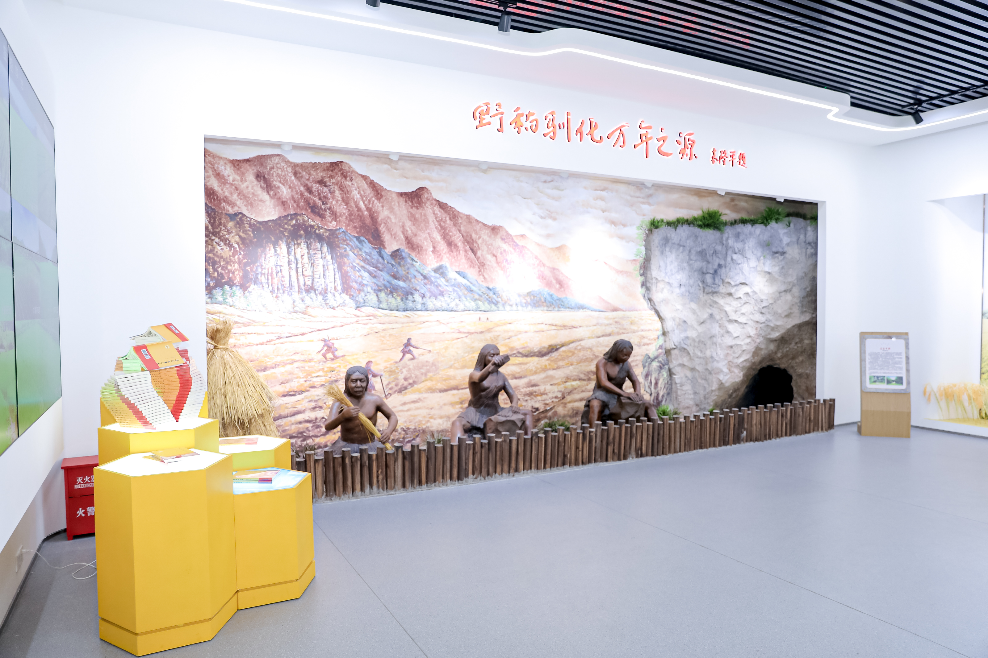 图二 袁隆平题：野稻驯化万年之源.JPG