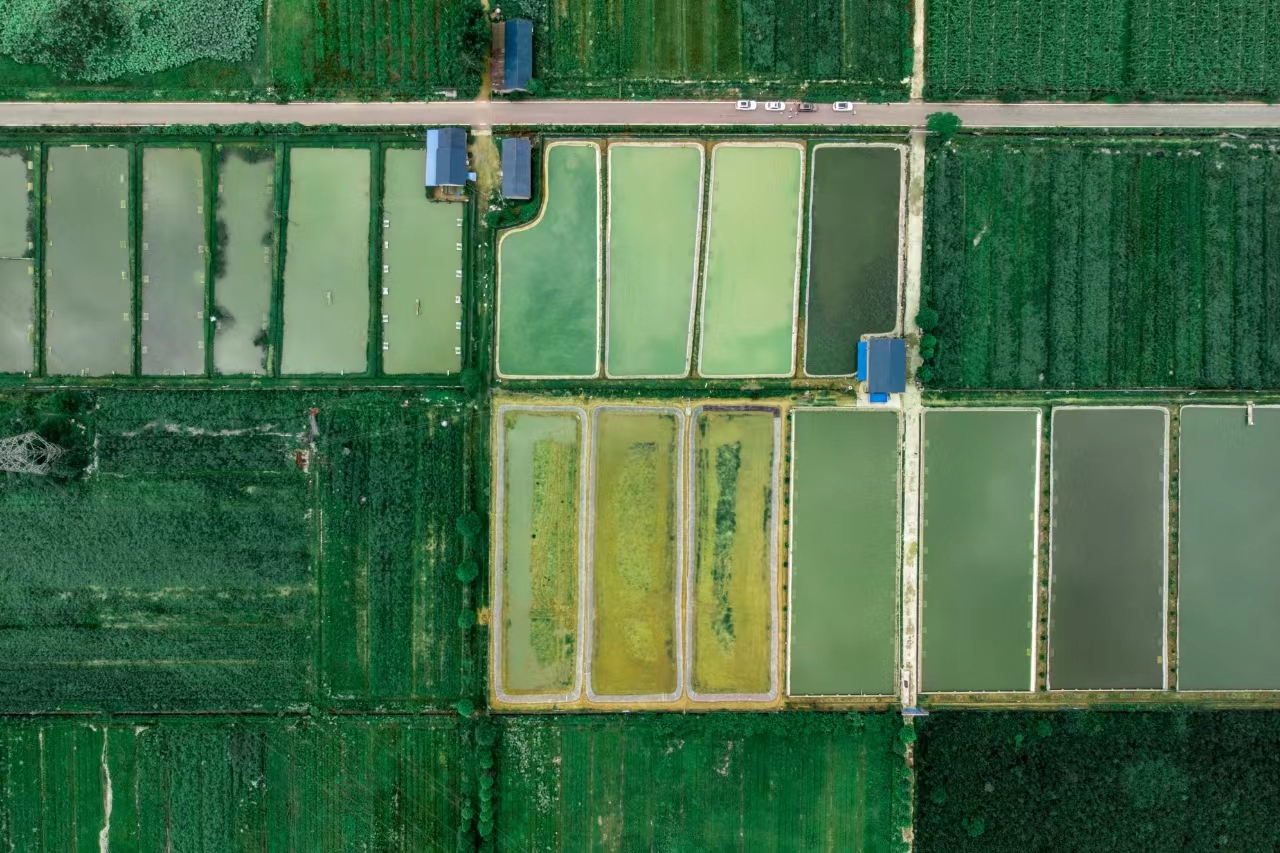 图二 万年县特种水产甲鱼养殖基地.jpg