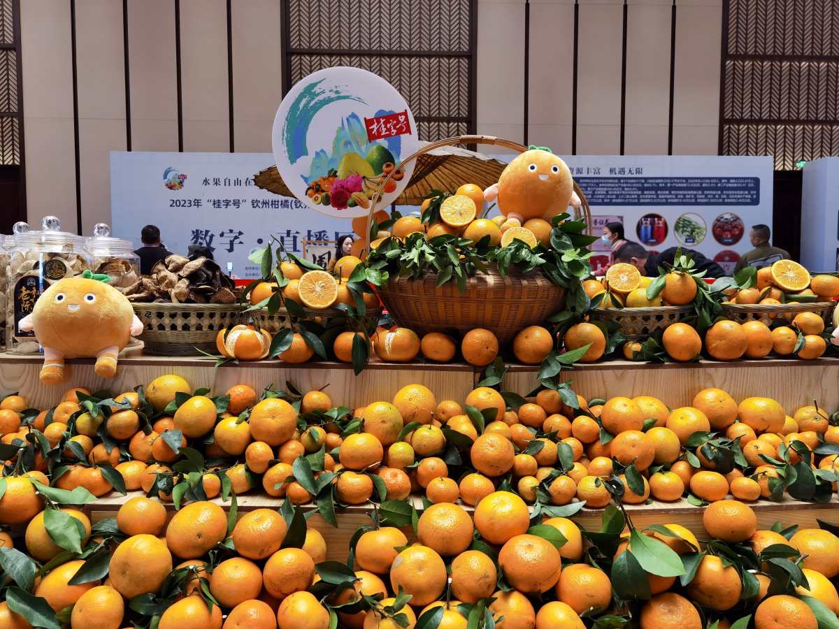 4.柑橘展示区.jpg
