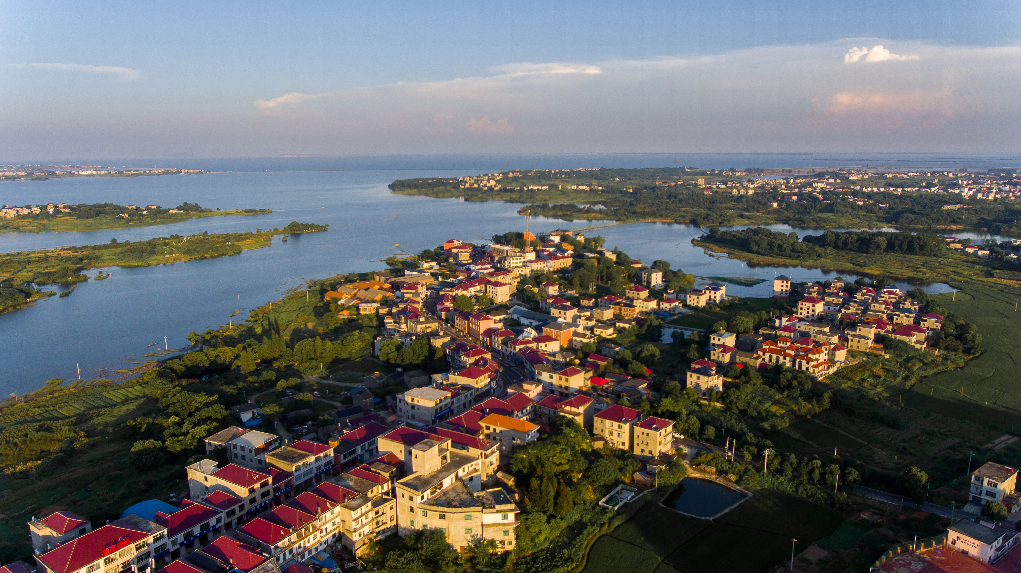 图五 共青城市绿树掩映生机勃勃.jpg