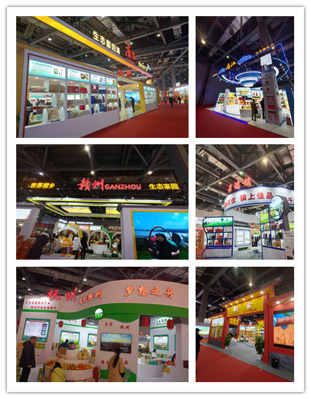 图四 南昌、九江、赣州、抚州、九江、景德镇等市展馆.jpg