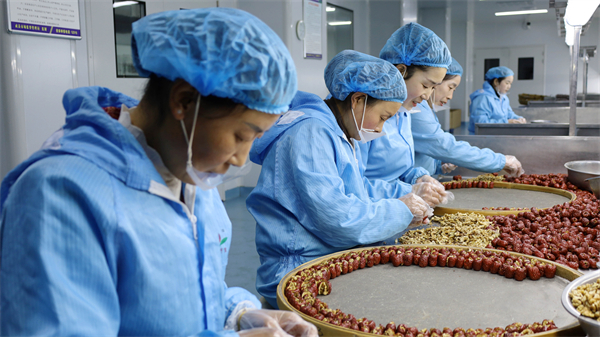 陇南华龙恒业公司核桃仁系列产品生产车间生产忙（刘建军 摄）.jpg