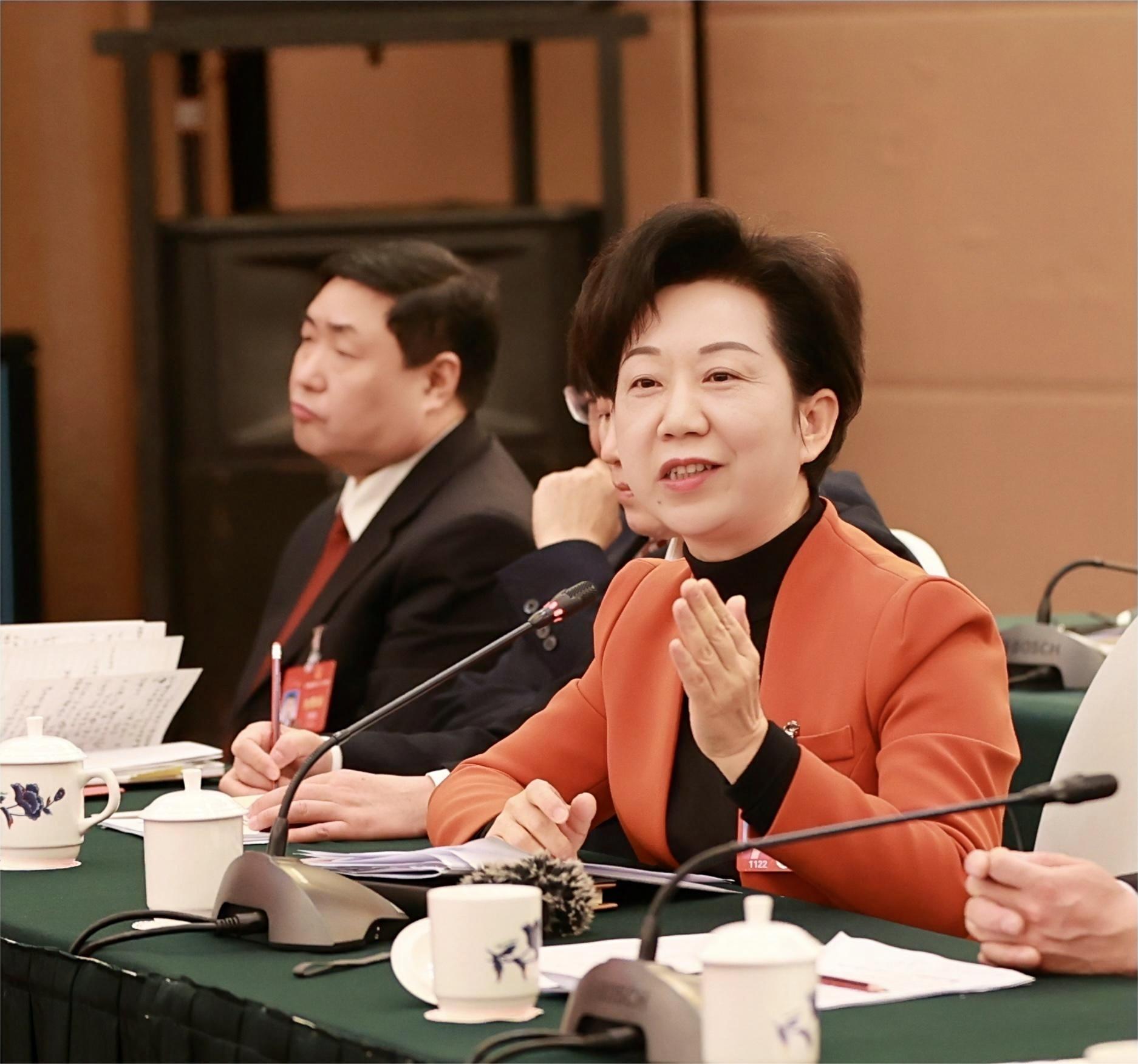 图一 全国人大代表、景德镇市人民政府市长胡雪梅.jpg