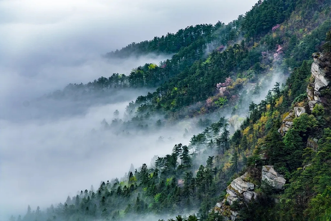 圖二 庐山锦绣谷.png