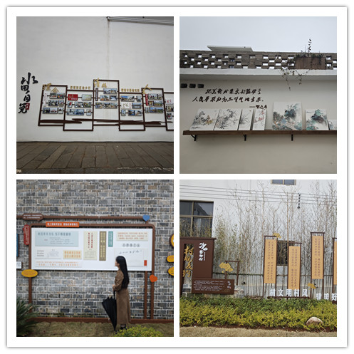 图三 乡村文化墙随处可见.jpg