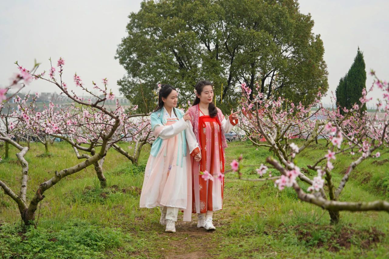 3.安徽巢湖:桃花節「花」式寵客 讓你「桃」醉.png