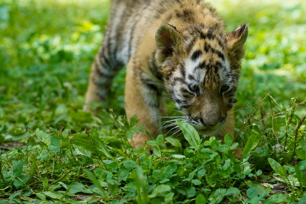 图片2 - 复件(1).jpg