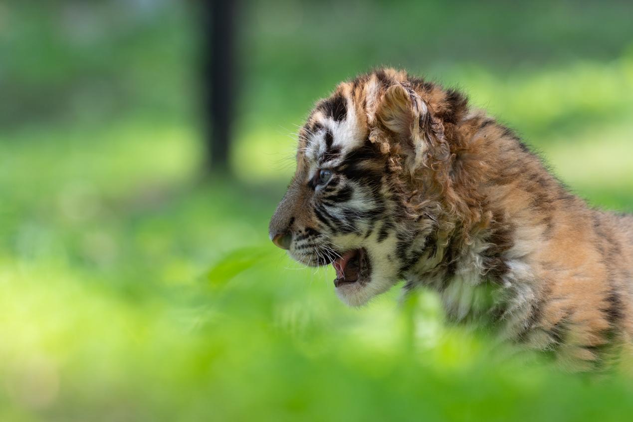 图片3 - 复件(1).jpg