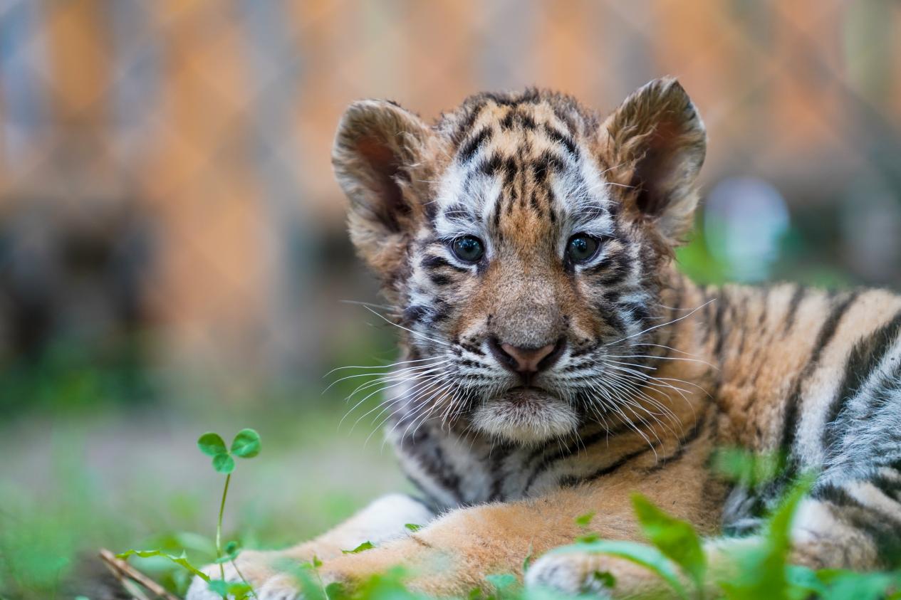 图片5 - 复件(1).jpg