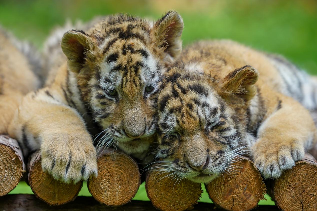 图片6 - 复件(1).jpg