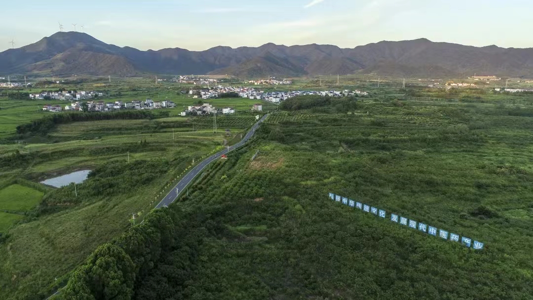 图三 湖口县中药材种植基地.jpg