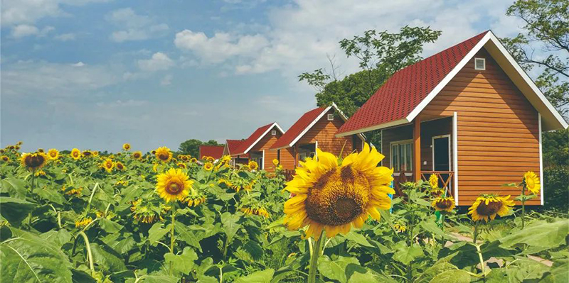 圖三 德安博陽河景區.jpg